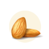 Prunus dulcis (Sweet Almond)