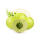 Amla (Embilica officinalis)