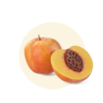 Prunus Armeniaca (Apricot):