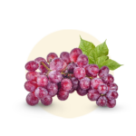 Vitis vinifera (Grapes)