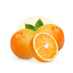 Citrus reticulata (Orange)