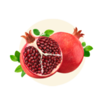 Punica granatum / Pomegranate: