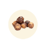 Sapindus mukorosi (Reetha)